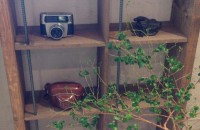 6月のお休みのお知らせです☆